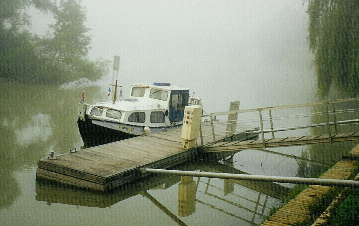 ijsvogel-marne.jpg